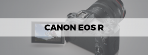 canon eos r 5